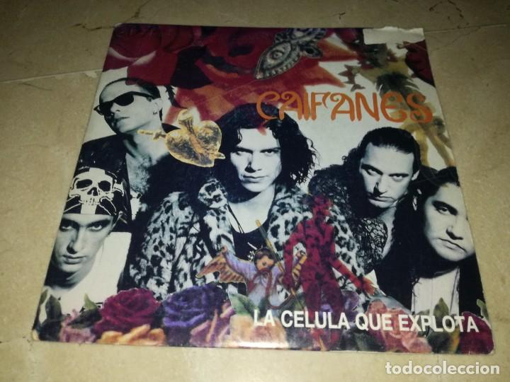 Discos de vinilo: CAIFANES-LA CELULA QUE EXPLOTA - Foto 1