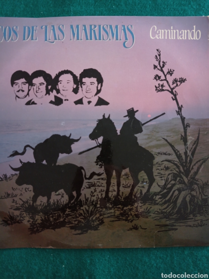 Discos de vinilo: DISCO VINILO LP , ECOS DE LAS MARISMAS , CAMINANDO , 1985 - Foto 1