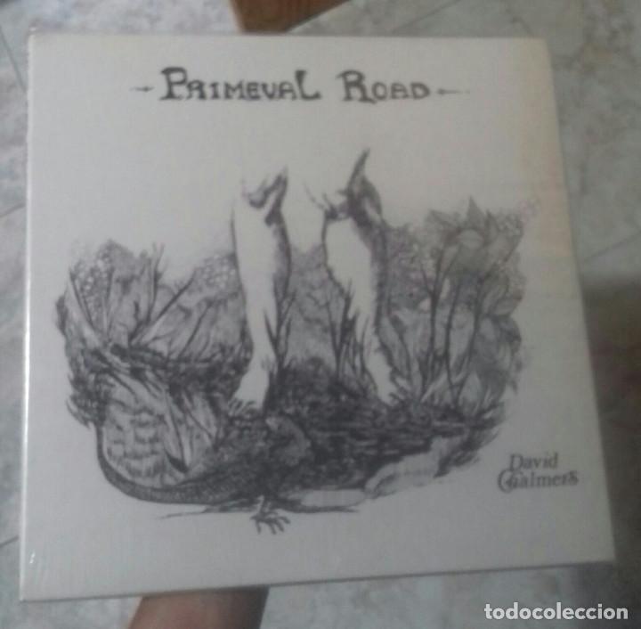 Discos de vinilo: DAVID CHALMERS PRIMEVAL ROAD - Foto 1