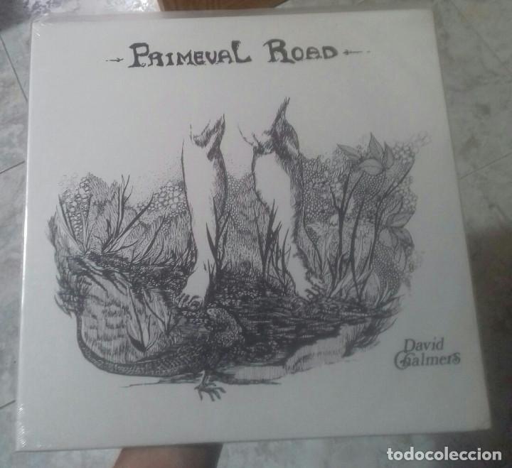 Discos de vinilo: DAVID CHALMERS PRIMEVAL ROAD - Foto 1