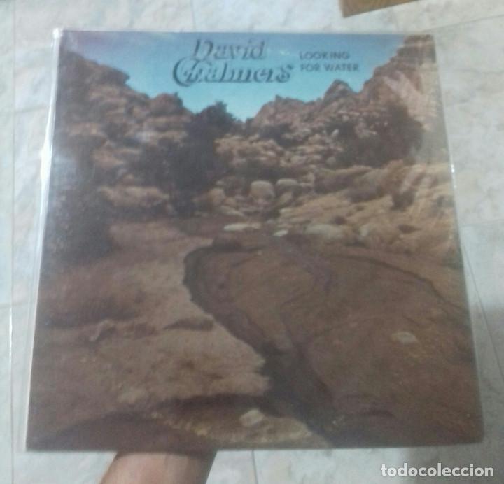 Discos de vinilo: DAVID CHALMERS LOOKING FOR WATER - Foto 1
