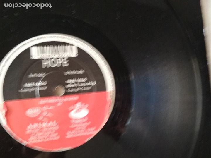 Discos de vinilo: HOPE TREE FROG.1993, PORTADA GENERICA - Foto 2