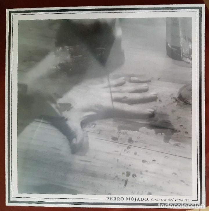 Discos de vinilo: PERRO MOJADO - CR&Oacute;NICA DEL ESPANTO LP - Foto 1