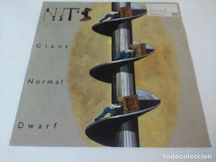 Discos de vinilo: THE NITS/GIANT NORMAL DWARF/VINILO. - Foto 1