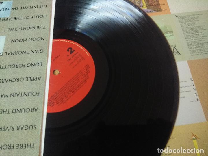 Discos de vinilo: THE NITS/GIANT NORMAL DWARF/VINILO. - Foto 2