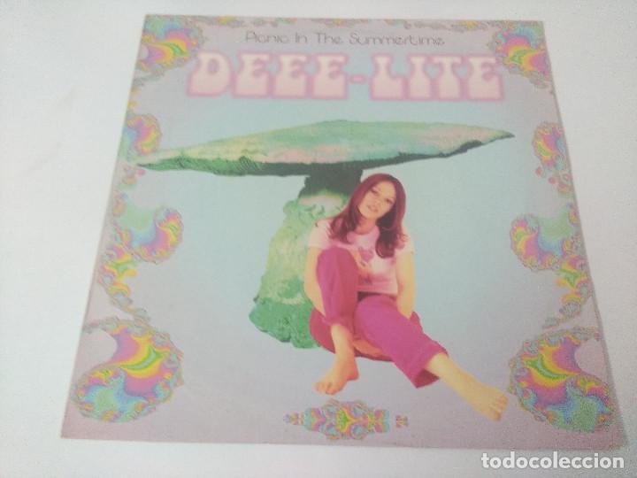 Discos de vinilo: DEEE LITE/PICNIC IN THE SUMMERTIME/VINILO. - Foto 1