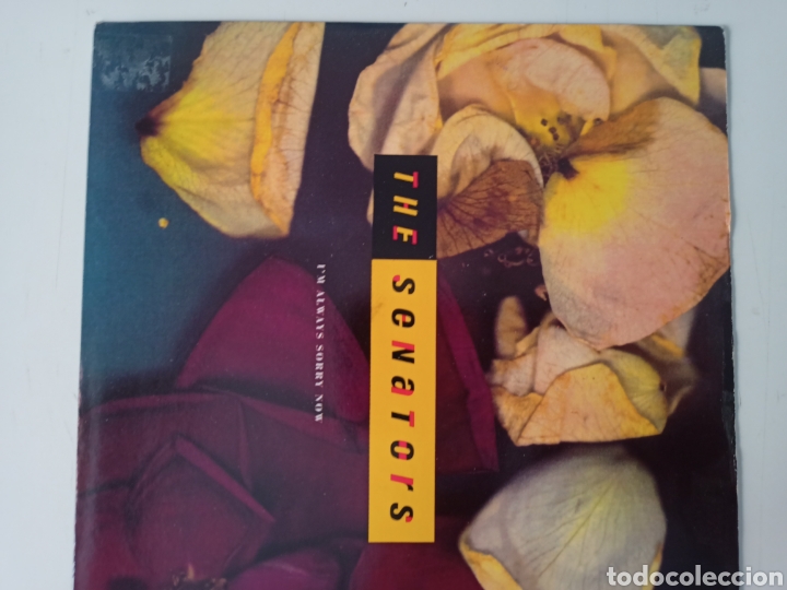 Discos de vinilo: The Senators - Im always sorry now - Foto 1