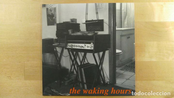 Discos de vinilo: The Waking Hours &ndash; Nothing To Hide - Foto 1