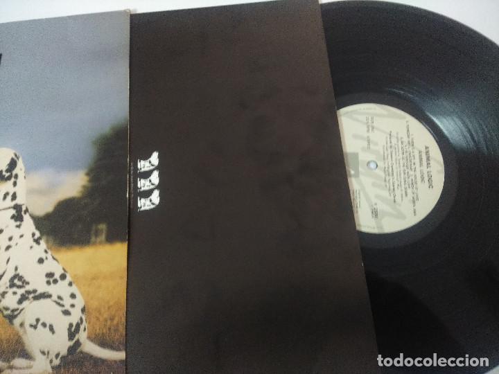 Discos de vinilo: ANIMAL LOGIC/VINILO. - Foto 2
