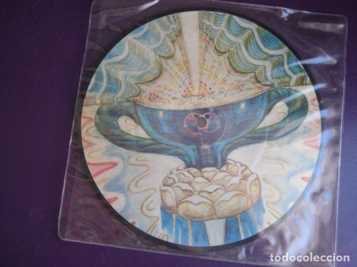 Dischi in vinile: The Royal Family & The Poor &ndash; We Love The Moon - SG PICTURE DISC FACTORY 1986 - SIN USO -