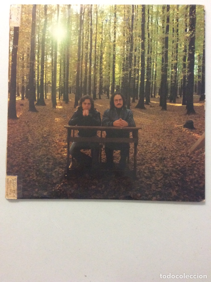Discos de vinilo: V&iacute;ctor y Diego. A vosotros... - Foto 2