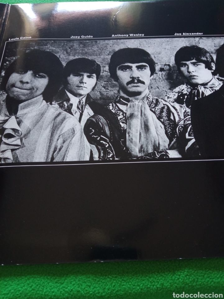 Discos de vinilo: The Koalas- Same Vinilo Lp - Foto 4