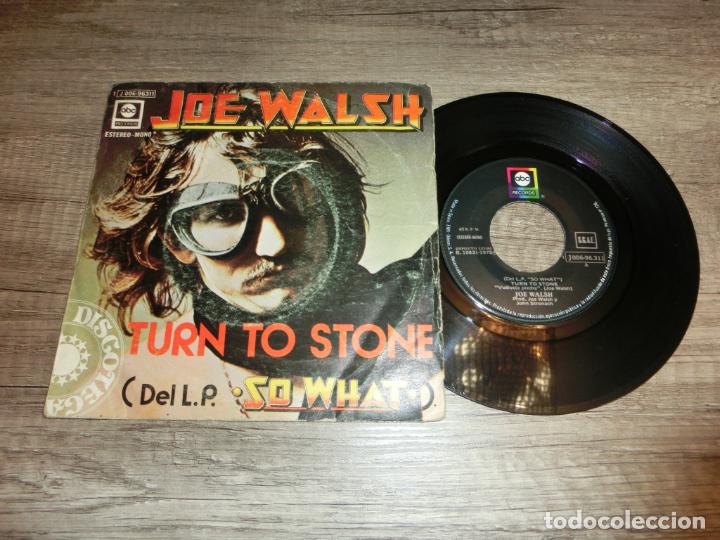 Discos de vinilo: JOE WALSH - TURN TO STONE - Foto 1