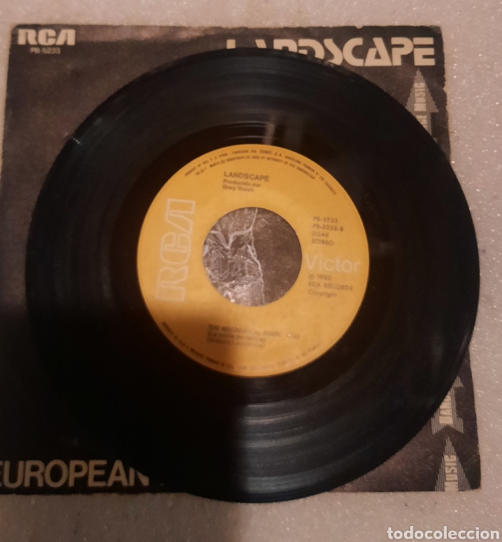 Discos de vinilo: Landscape - european man - Foto 3