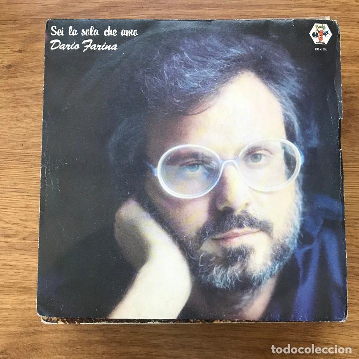 Dischi in vinile: DARIO FARINA - SEI LA SOLA CHE AMO - SINGLE BABY ITALIA 1982
