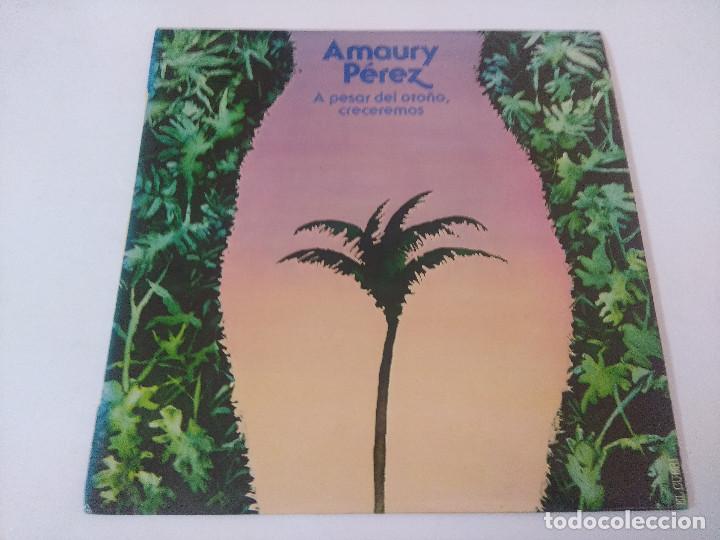 Discos de vinilo: AMAURY PEREZ/A PESAR DEL OTO&Ntilde;O,CRECEREMOS/VINILO. - Foto 1
