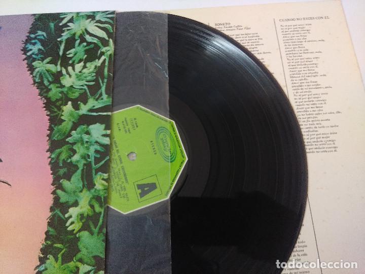 Discos de vinilo: AMAURY PEREZ/A PESAR DEL OTO&Ntilde;O,CRECEREMOS/VINILO. - Foto 2