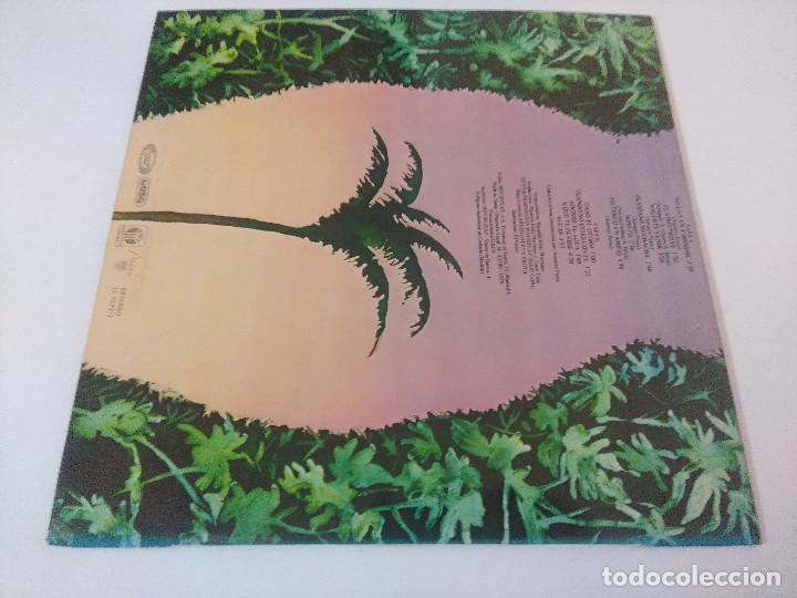 Discos de vinilo: AMAURY PEREZ/A PESAR DEL OTO&Ntilde;O,CRECEREMOS/VINILO. - Foto 3