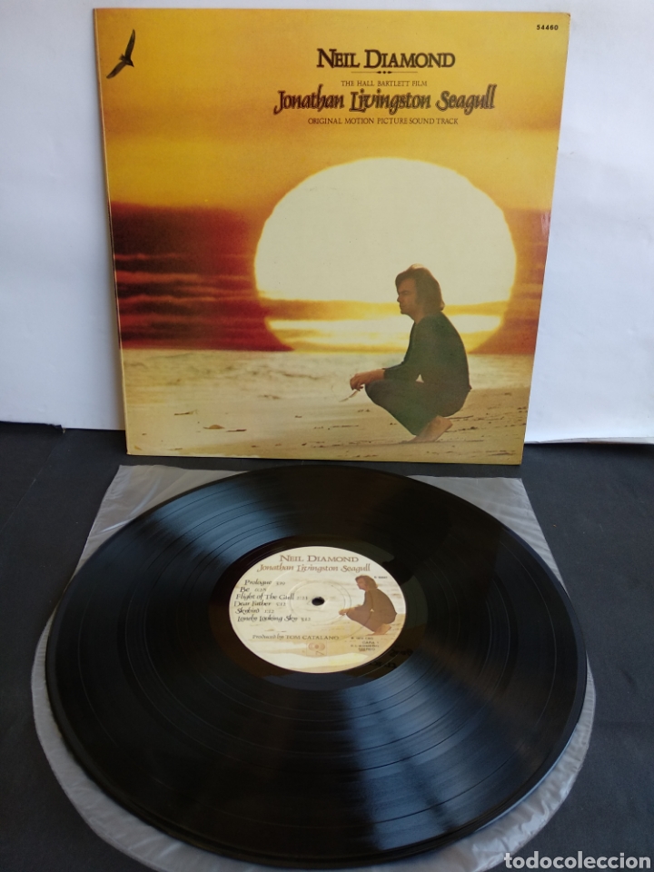 Discos de vinilo: *NEIL DIAMOND. SPAIN. CBS. 1973 A2 - Foto 1