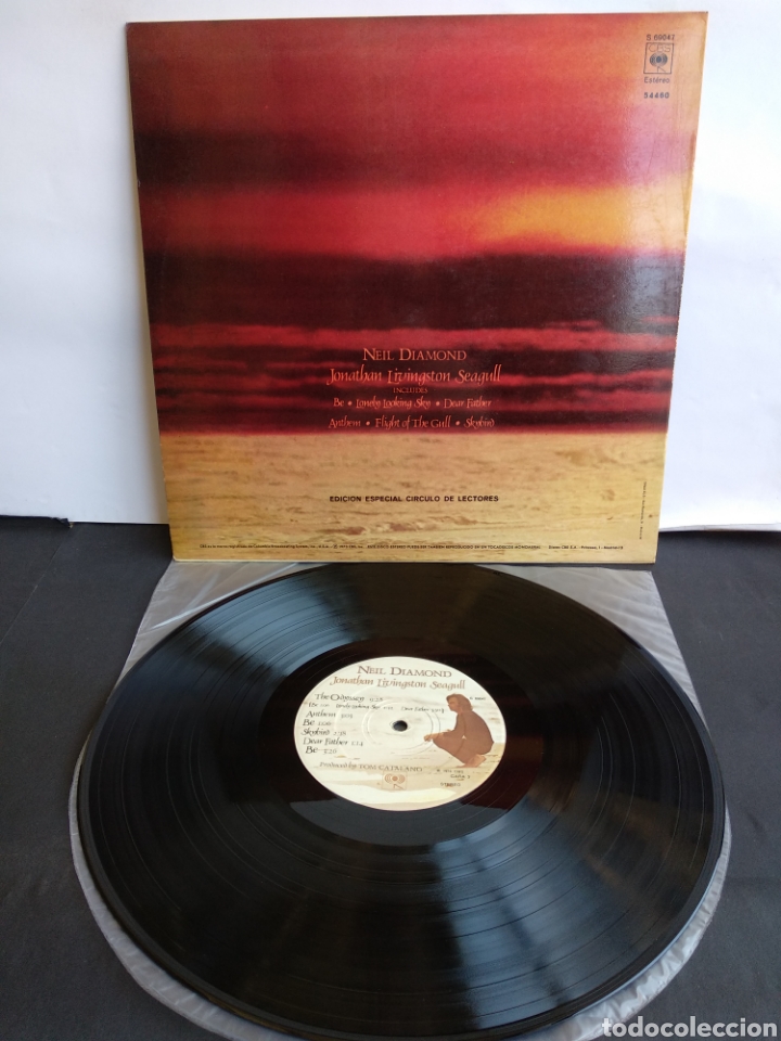 Discos de vinilo: *NEIL DIAMOND. SPAIN. CBS. 1973 A2 - Foto 2