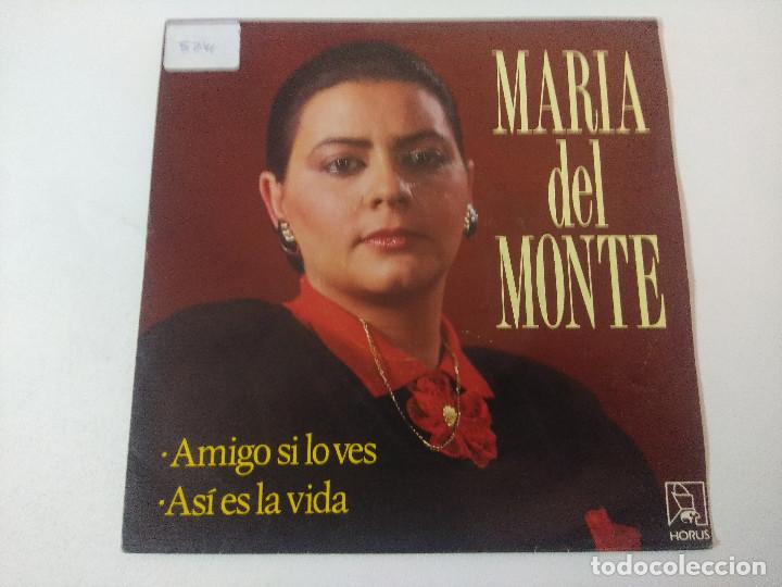 Discos de vinilo: MARIA DEL MONTE/AMIGO SI LO VES/SINGLE. - Foto 1