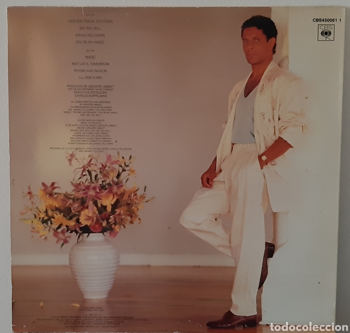 Discos de vinilo: Shake You Down. Gregory Abbott. LP - Foto 2