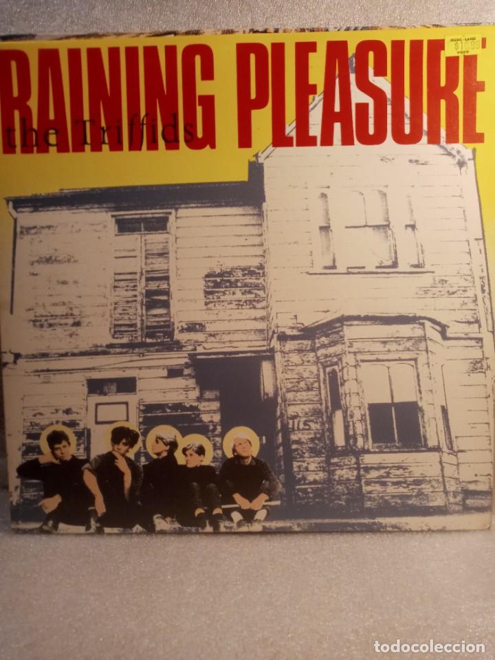Discos de vinilo: THE TRIFFIDS - RAINING PLEASURE. - Foto 1