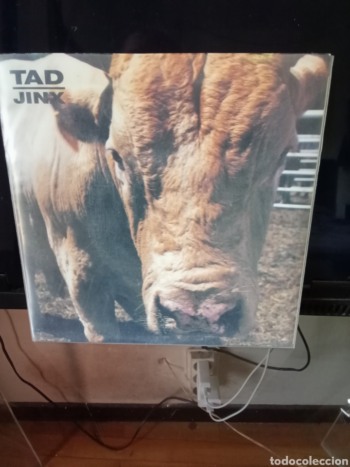 Discos de vinilo: TAD 1990 SUB-POP Seattle,Endino. - Foto 1