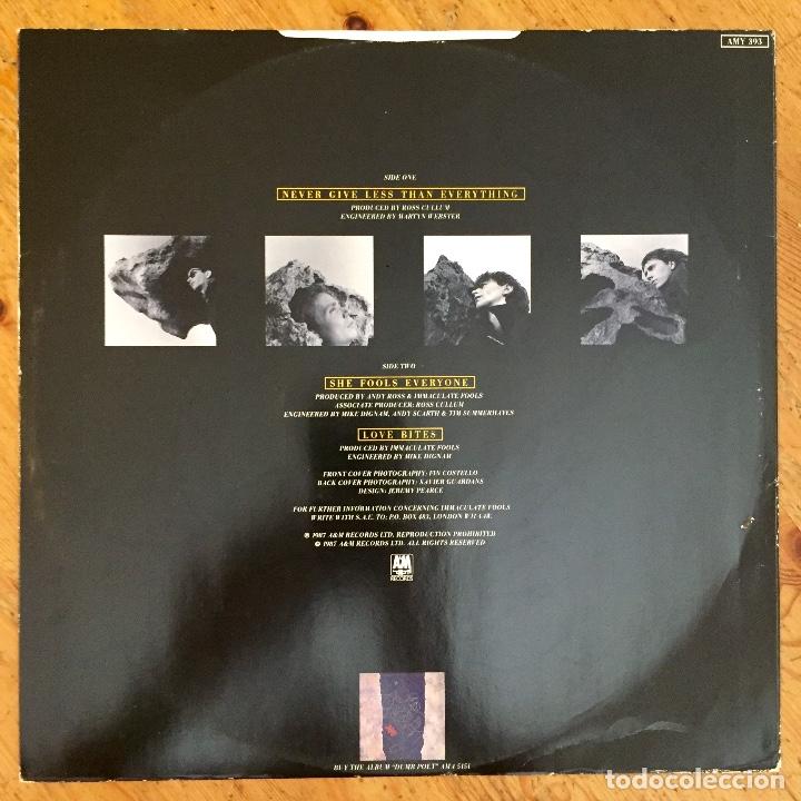 Discos de vinilo: IMMACULATE FOOLS : NEVER GIVE LESS THAN EVERYTHING [A&M - UK 1987] 12&rdquo; - Foto 2