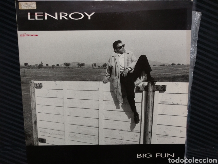 Discos de vinilo: Lenroy - Big Fun (12&rdquo;, Maxi) - Foto 1