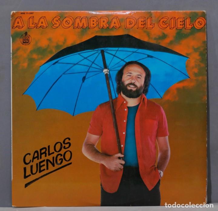 Discos de vinilo: LP. Carlos Luengo &ndash; A La Sombra Del Cielo - Foto 1