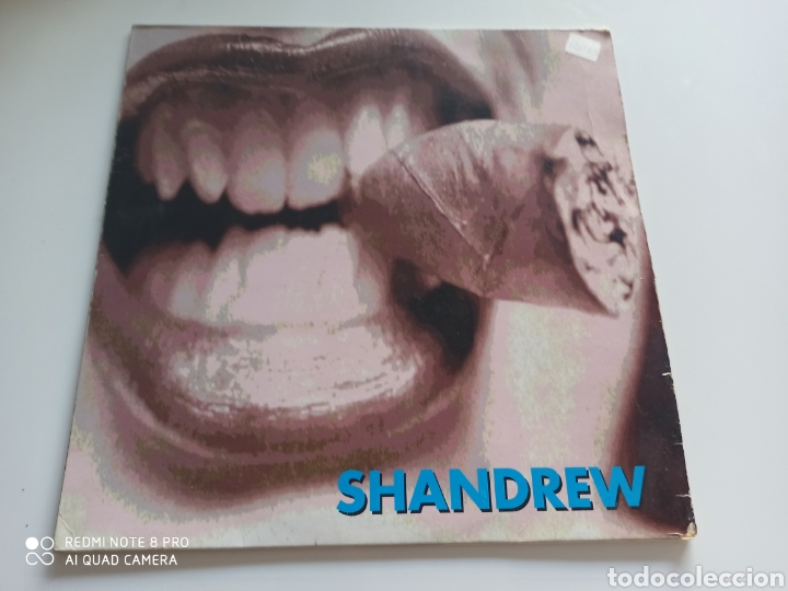 Discos de vinilo: Shandrew - I Want You - Foto 1