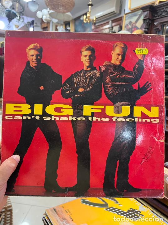 Discos de vinilo: LP BIG FUN - CAN&acute;T SHAKE THE FEELING - Foto 1