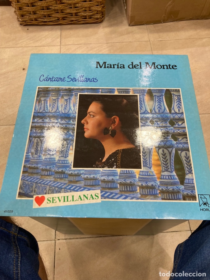 Discos de vinilo: Disco mar&iacute;a del monte muy nuevo - Foto 1