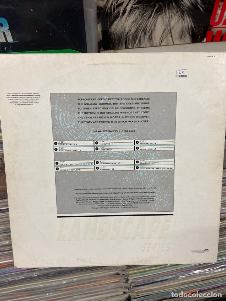 Discos de vinilo: Dashiell rae Songs Without Words - Foto 2