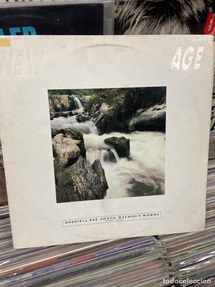 Discos de vinilo: Dashiell rae Songs Without Words - Foto 1