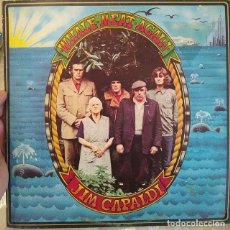 Discos de vinilo: JIM CAPALDI - WHALE MEAT AGAIN (1974) - LP VINILO