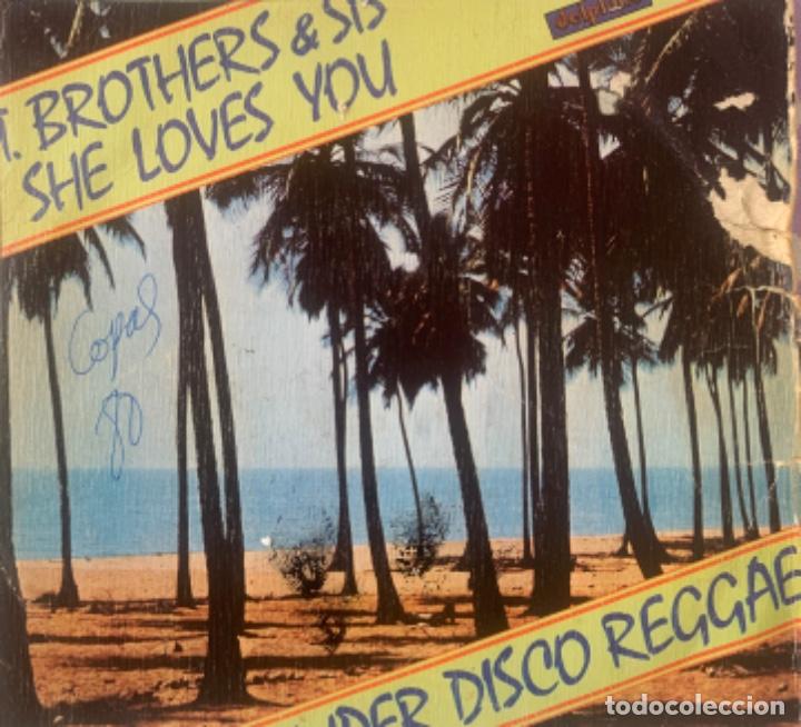 Disques de vinyle: She loves you Brothers & sis