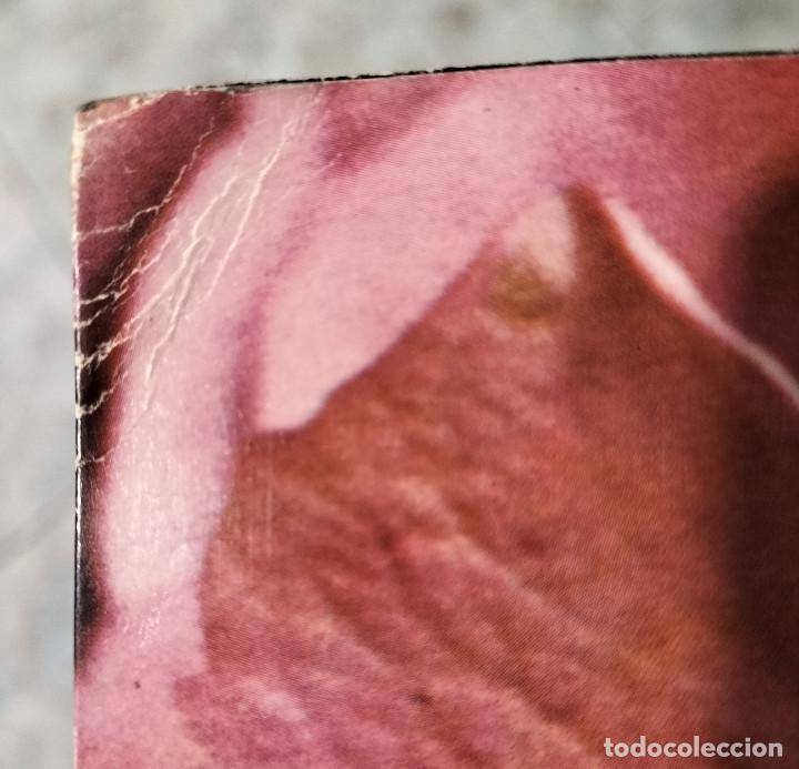 Discos de vinilo: STILL LIFE - Foto 2