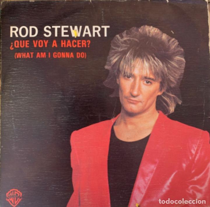 Discos de vinilo: Rod Stewart Que voy a hacer? - Foto 1