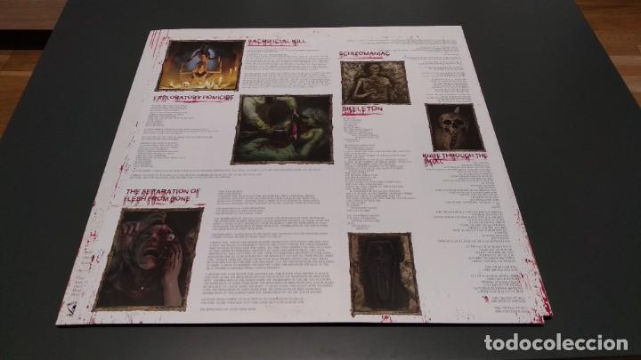 Discos de vinilo: Six Feet Under Torment Vinilo Lp - Foto 3