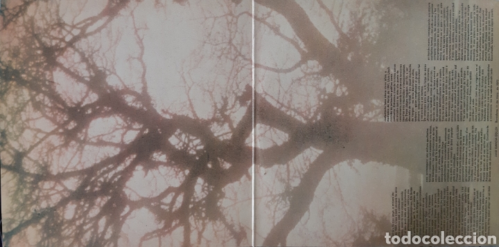 Discos de vinilo: Com un arbre nu. LP. Lluis Llac. - Foto 2