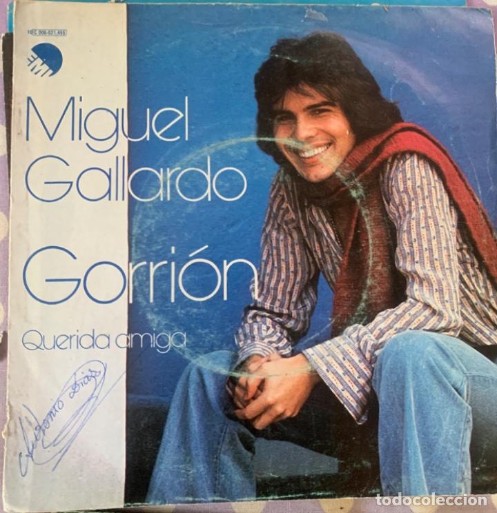 Discos de vinilo: Miguel Gallardo - Foto 1
