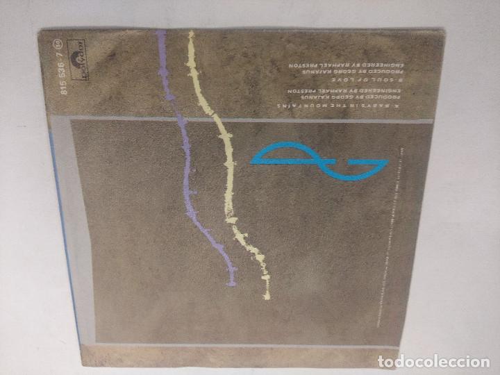 Discos de vinilo: PETER GODWIN/BABYS IN THE MOUNTAINS/SINGLE. - Foto 3