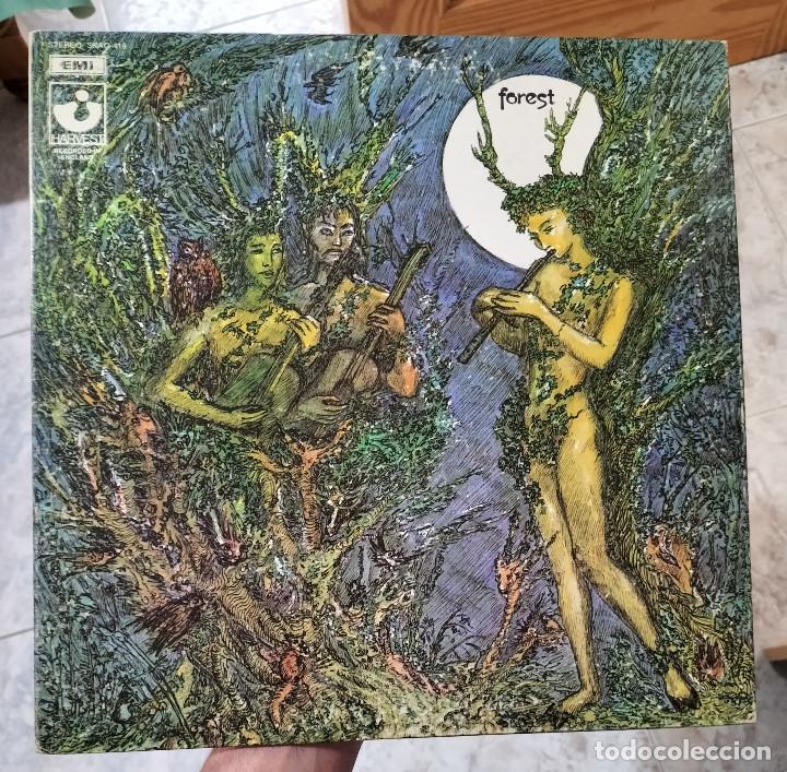 Discos de vinilo: FOREST - Foto 1