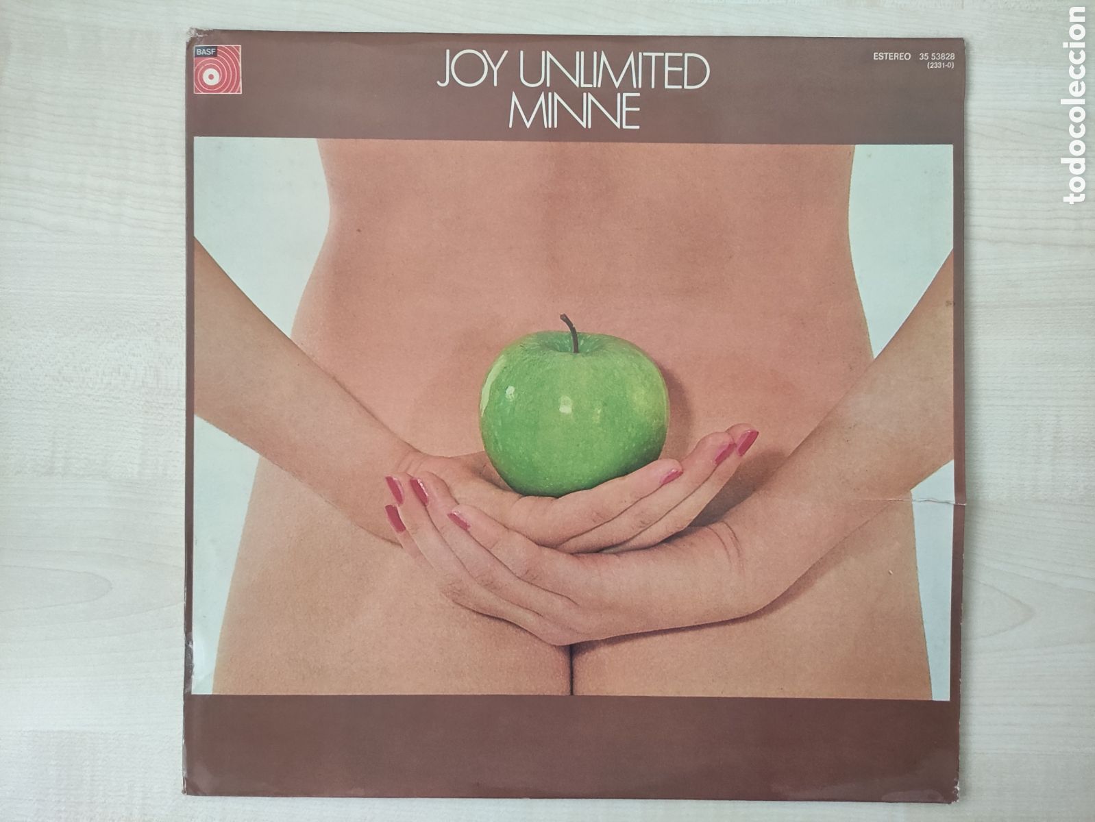 Discos de vinilo: Joy Unlimited - Minne - BASF 1976 - Foto 1