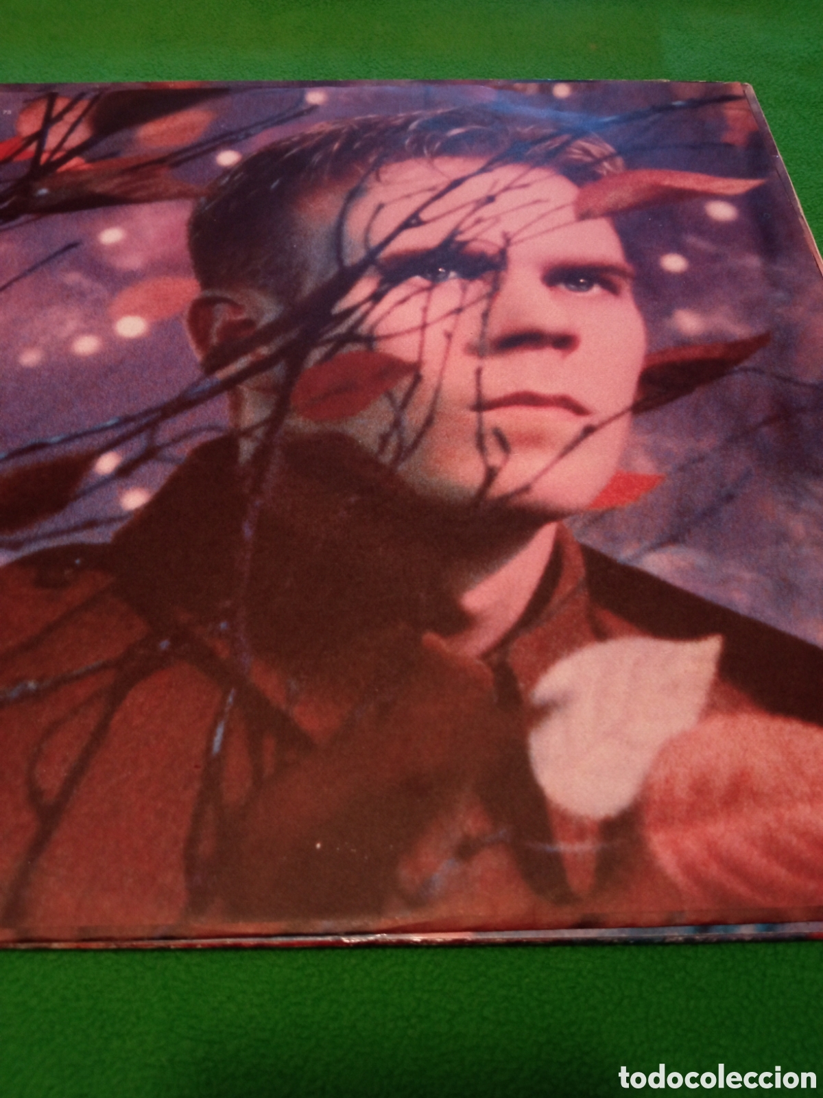 Discos de vinilo: Erasure - Wild Vinilo Lp - Foto 5