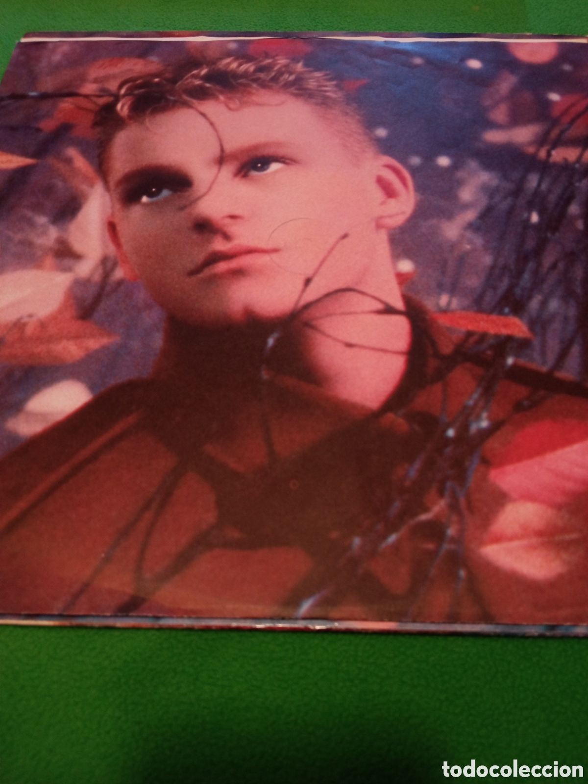 Discos de vinilo: Erasure - Wild Vinilo Lp - Foto 6