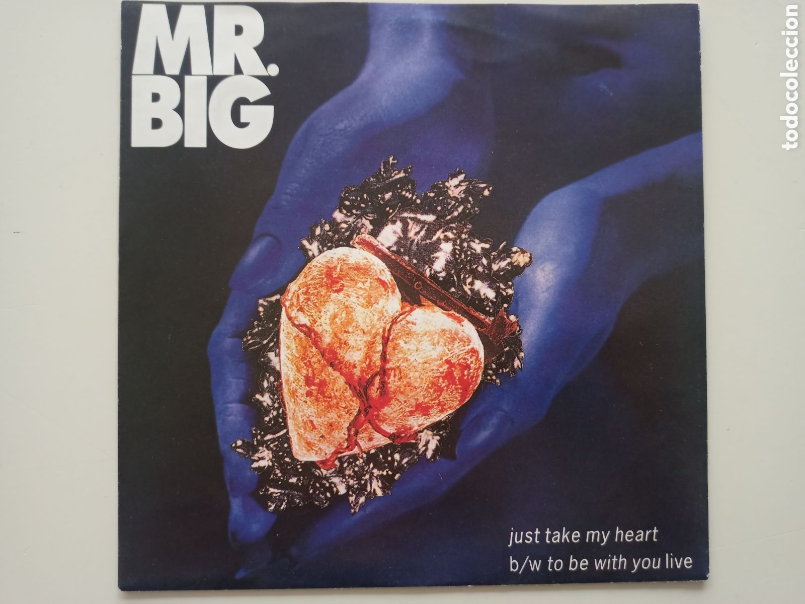 Discos de vinilo: Mr.Big - Just take mu heart - Foto 1