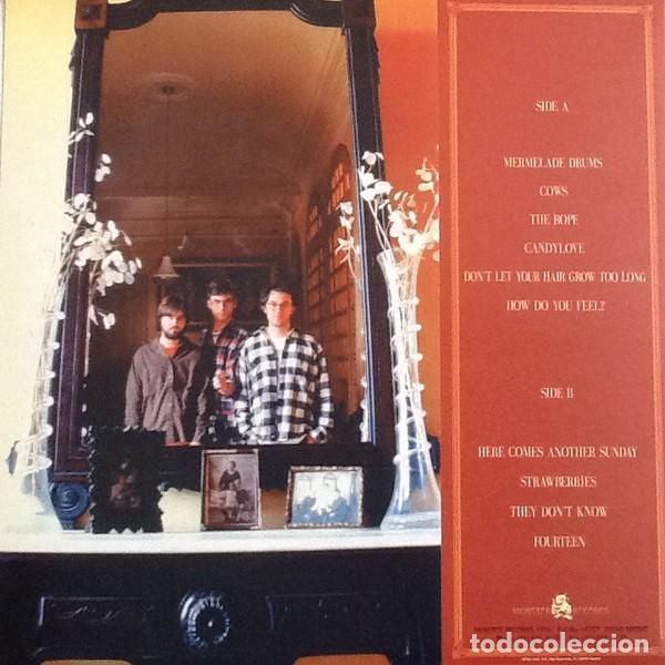 Discos de vinilo: Parkinson D.C. &ndash; Green Fields - Foto 2